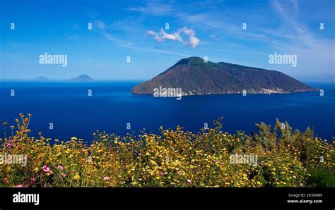 Italy Sicily Aeolian Islands Salina Island Green Flower Meadow In