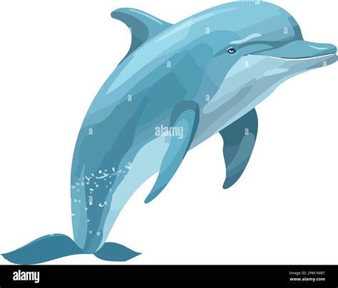 Cute Dolphin Animal Cartoon Jumping Stock Vector Image & Art - Alamy