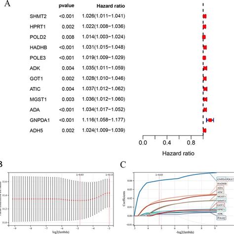 Univariate And Multivariate Cox Regression Analysis Of Mrgs And