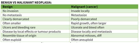 Describe The Differences Between Benign And Malignant Neoplasia