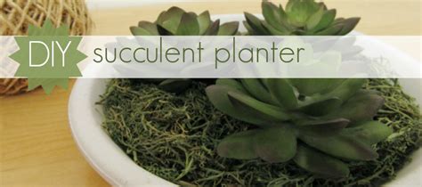 DIY succulent planter - The Girl Creative