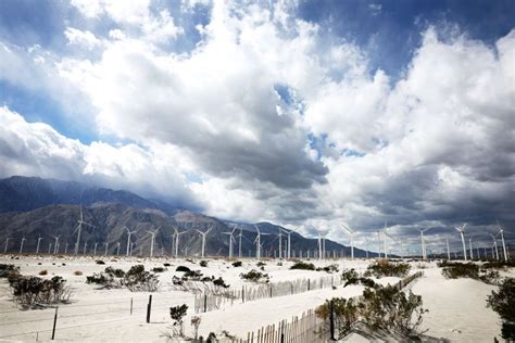 Hurricane Hilary Forecast City May Get 20 Times Monthly Rain In Two Days