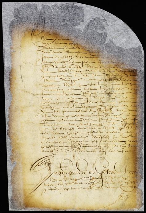 Document Letter From Director And Council To Cornelis Van Tienhoven