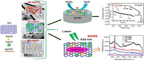 In Situ Synthesis Of Silver Nanospheres Nanocubes And Nanowires Over