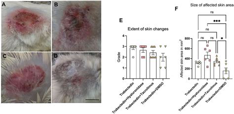 Frontiers Determination Of Extravasation Effects Of Nal Iri And