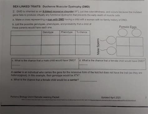 Solved SEX LINKED TRAITS Duchenne Muscular Dystrophy DMD Chegg