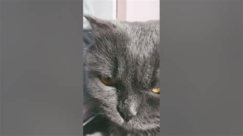 масик - YouTube