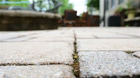 4K MS Chen S And The Hidden Tiny MP4 Amateur Soles Giantess And Footjobs Clips4sale