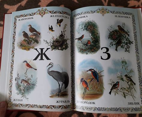 Подборка книг про птиц Ч.1 — 11 ответов | форум Babyblog