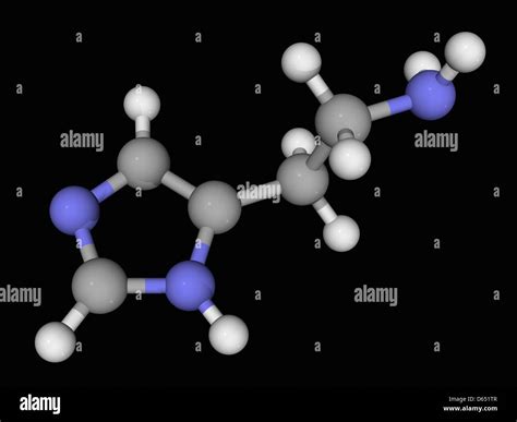 Histamine Molecule Stock Photo Alamy