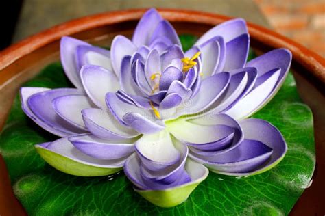 The Artificial Lotus Flower Stock Photo - Image of attractive ...