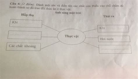 Đánh mũi tên và điền tên các chất còn thiếu vào chỗ chấm để hoàn thành