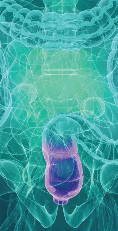 The 2024 Anal Cancer Idea Generation Workshop GI Cancer