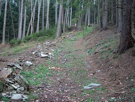 HAGER-ZIMMERMANNOVÁ, Hilde (1907-2002) - Kohoutikriz.org