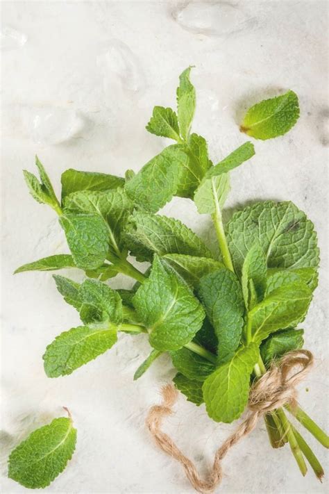 15 Healthy Ways to Use Fresh Mint | Elizabeth Rider