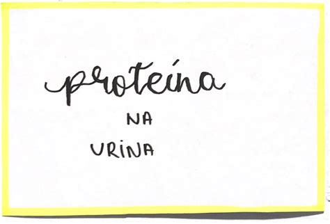 Quais Alimentos Que Ajudam A Baixar A Proteina Na Urina