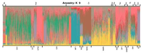 Commercially available outbred mice for genome-wide association studies - Satpathy Lab