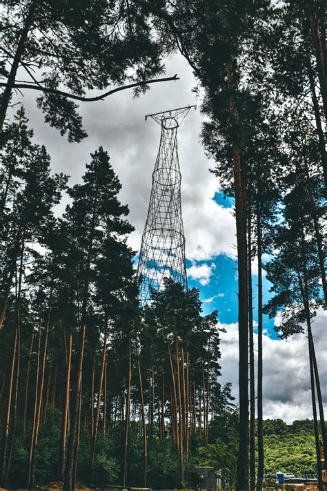 Велопрогулка | Пикабу