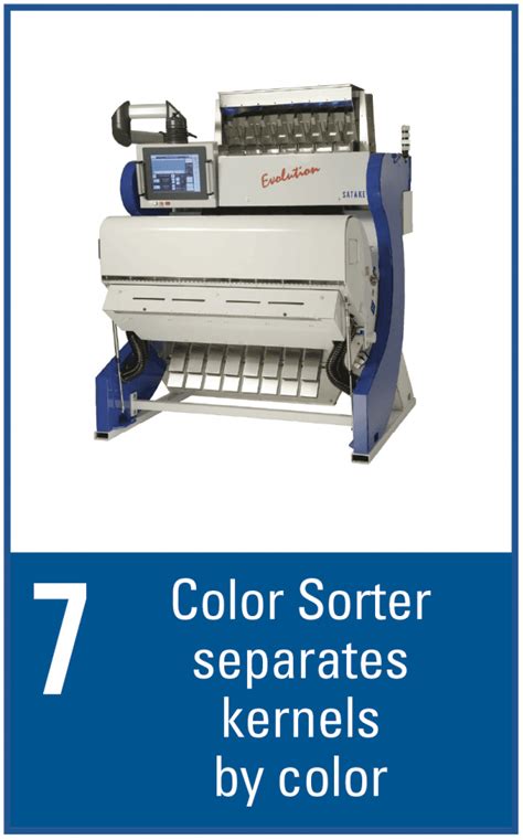 Seed Quality Makes All The Difference | Peterson Farms Seed 