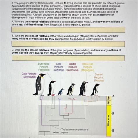 Solved 3. The penguins (family Spheniscidae) include 18 | Chegg.com