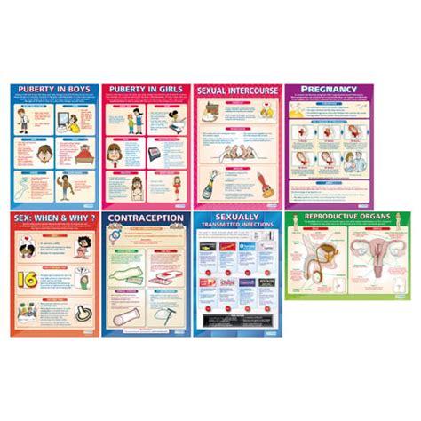 Puberty And Sex Posters Set Of Daydream Education