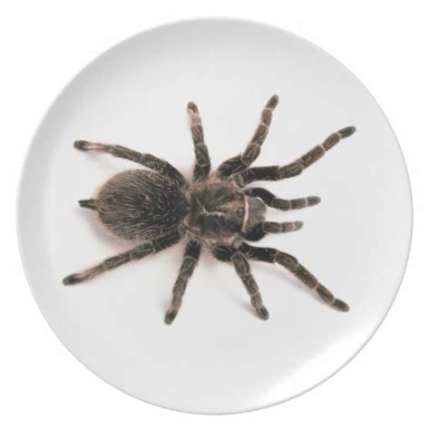 Tarantula Spider Dinner Plate. Dinner Plates | Zazzle