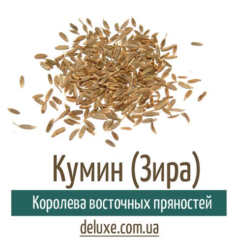 Полезные свойства зиры (кумина)
