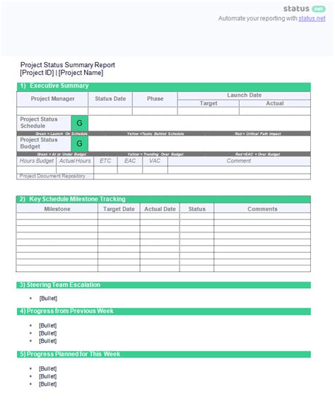 Project Summary Report Template