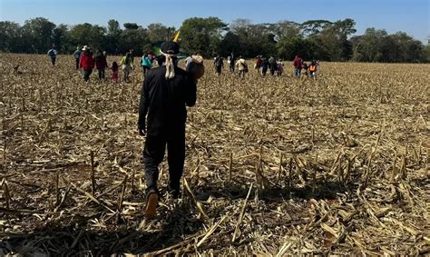 MS Comitiva do governo federal visita áreas de conflitos indígenas