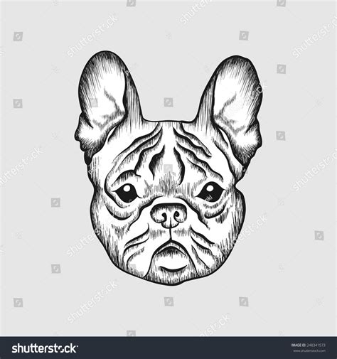 Sketch French Bulldog Hand Drawn Face Stock Vector (Royalty Free ...