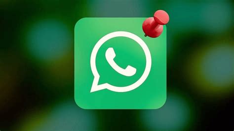 WhatsApp Cómo fijar mensajes en un chat Paso a paso La Verdad Noticias