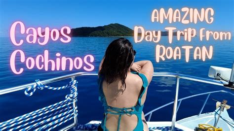 Amazing Hidden Paradise In The Caribbean Cayos Cochinos Day Trip