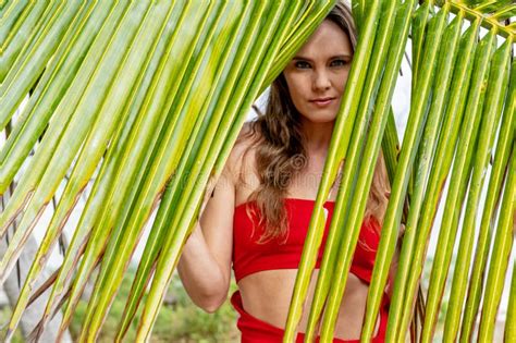 Caribbean Charm A Brunette Beauty S Radiance In Red Stock Photo Image Of Elegance Beauty
