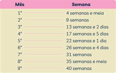 Como Converter Semanas Em Meses De Gravidez Vitat