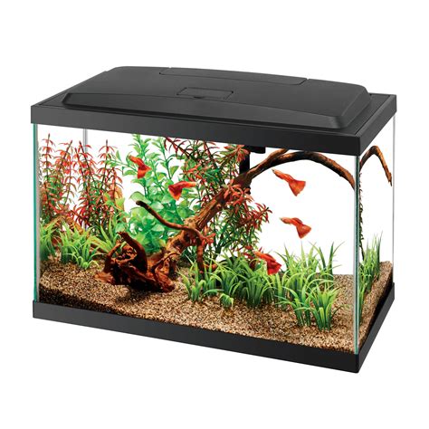 Aqueon Aquarium Starter Kit With Led Lighting Gallon Petco