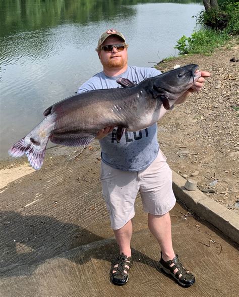 Wv Angler Catches State Record Channel Catfish 2 Years In A Row Wvdnr