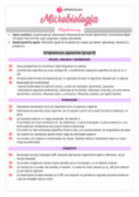 SOLUTION Streptococcus Microbiologia Studypool