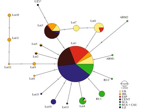 Median Joining Network Of 255 Bp Fragment Of Otter Mtdna Control