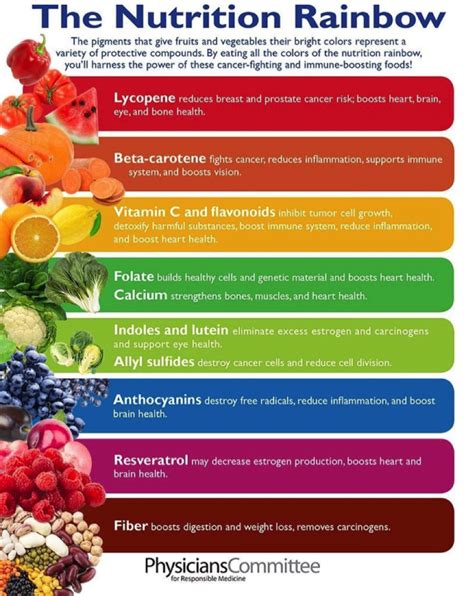 Foods That Boost Your Immune System Infographics Part