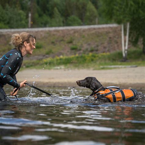 Safe Life Jacket 2 0 flytväst till hund från Non stop dogwear Hundigt