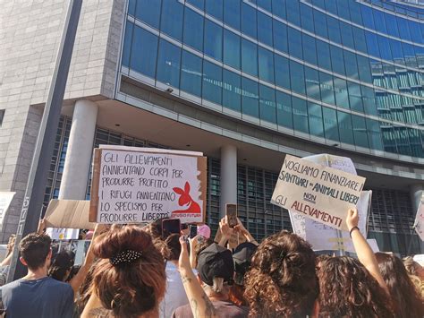 10mila Persone A Milano Contro L Uccisione Dei Maiali Di Cuori Liberi