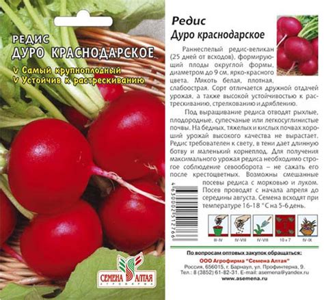 Редис Дуро краснодарское: отзывы, фото, описание и характеристика сорта ...