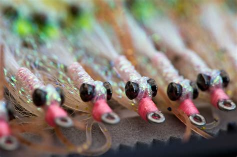 Planet Fish - Big Sky Journal