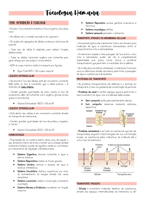 Resumo Sobre Fisiologia Humana - 8