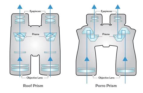 Parts of Binoculars and Their Functions Guide