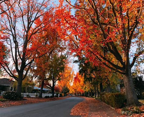 How to find the safest routes on the streets near me 16