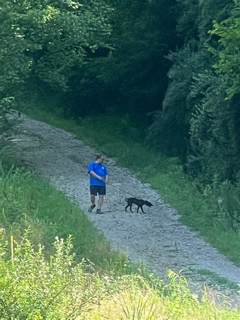 floyd county animal shelter 6