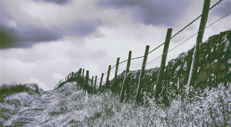 Sunlight Landscape Nature Grass Sky Snow Winter Field