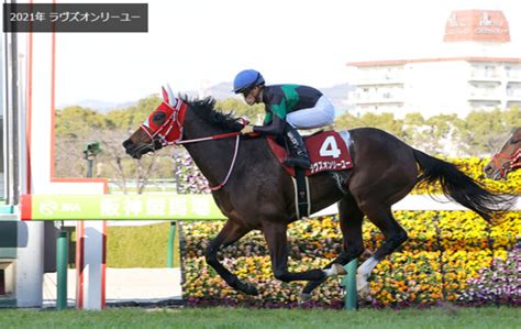 【g2京都記念2022】阪神芝2200mの血統傾向から推すのはこの馬 血統馬券の参考書 K－max