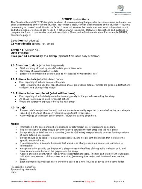 Situation Report Pdf Computing Business